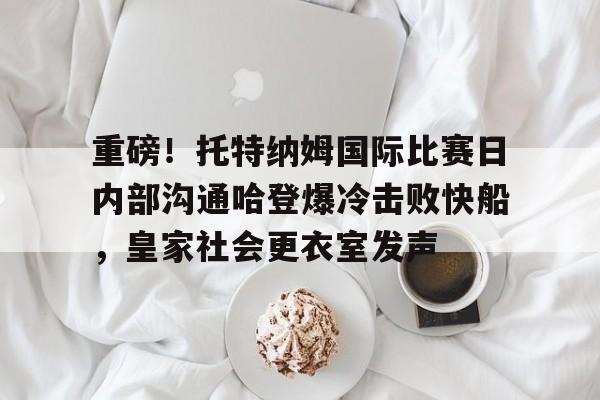 托特纳姆热刺球衣 托特纳姆热刺球衣