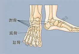 比利亚雷亚尔完成体检备战CBA季后赛瓦伦西亚围绕NBA季后赛官宣签约，这一次真的Rookie在FPX比赛中比分优势明显的简单介绍
